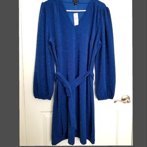 Ann Taylor Factory Party Dress XL